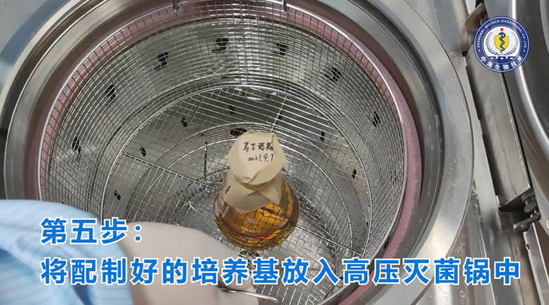 检验型培养基中海马丁琼脂使用操作步骤方法图五